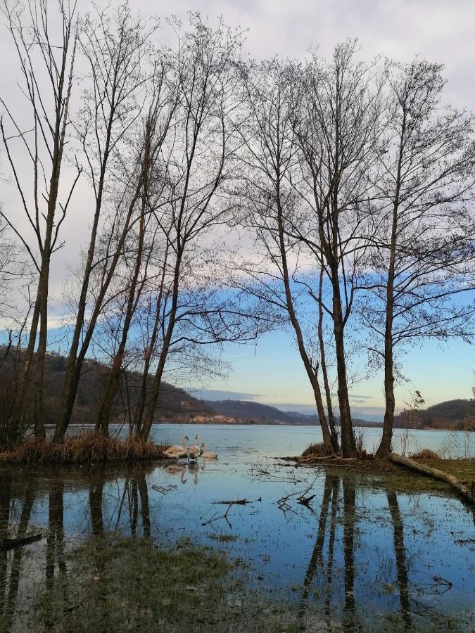 Ca' Dei Berici - Relax Tra Colli E Citta D'Arte Grancare Bagian luar foto